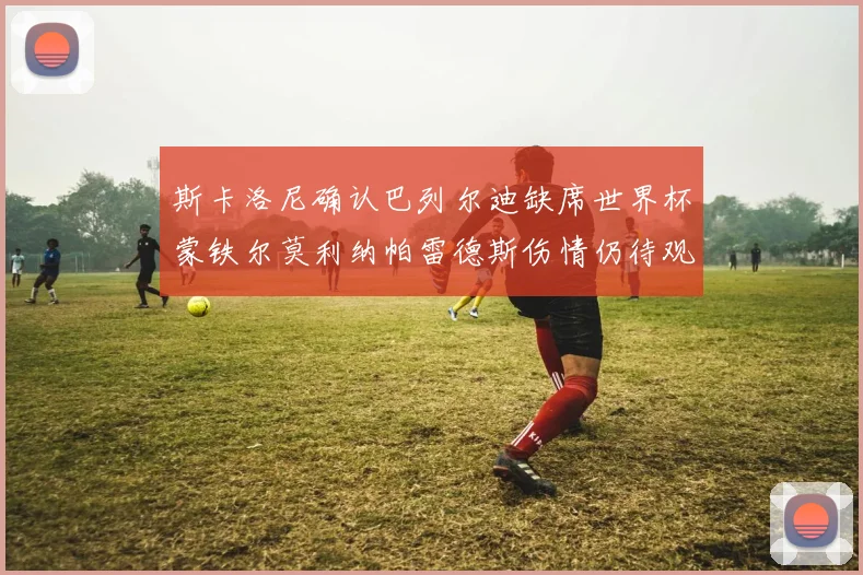 斯卡洛尼确认巴列尔迪缺席世界杯蒙铁尔莫利纳帕雷德斯伤情仍待观察