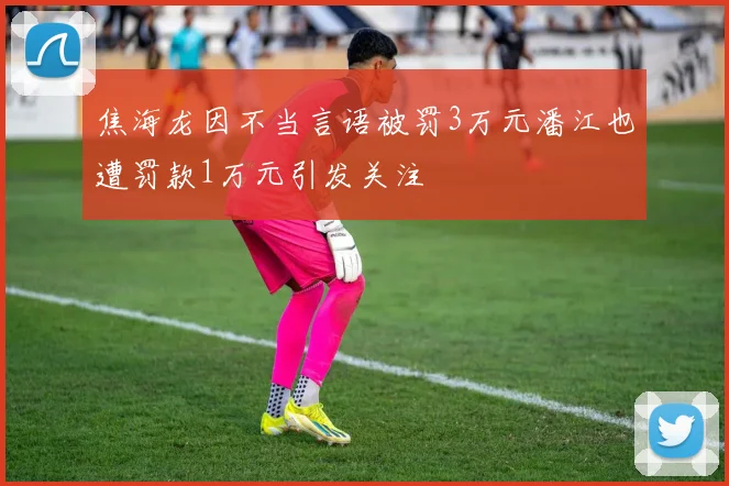 焦海龙因不当言语被罚3万元潘江也遭罚款1万元引发关注