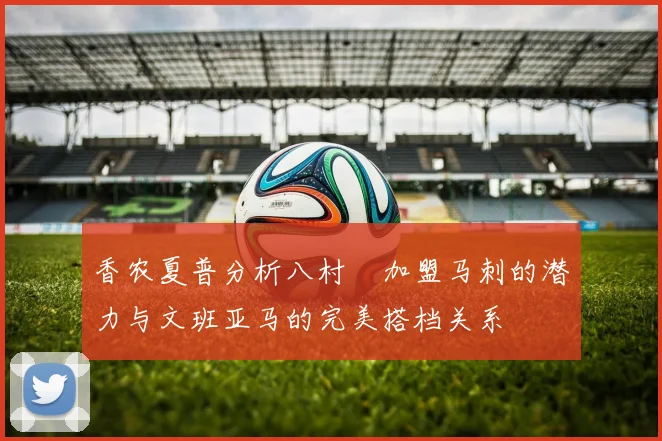 香农夏普分析八村塁加盟马刺的潜力与文班亚马的完美搭档关系